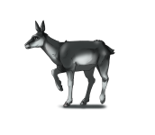 Moutain_deer2.png